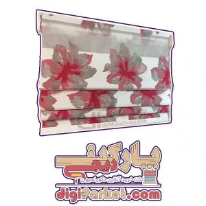 زبرا رومن